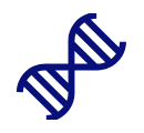 Genetics (Alpha-1 Antitrypsin deficiency)